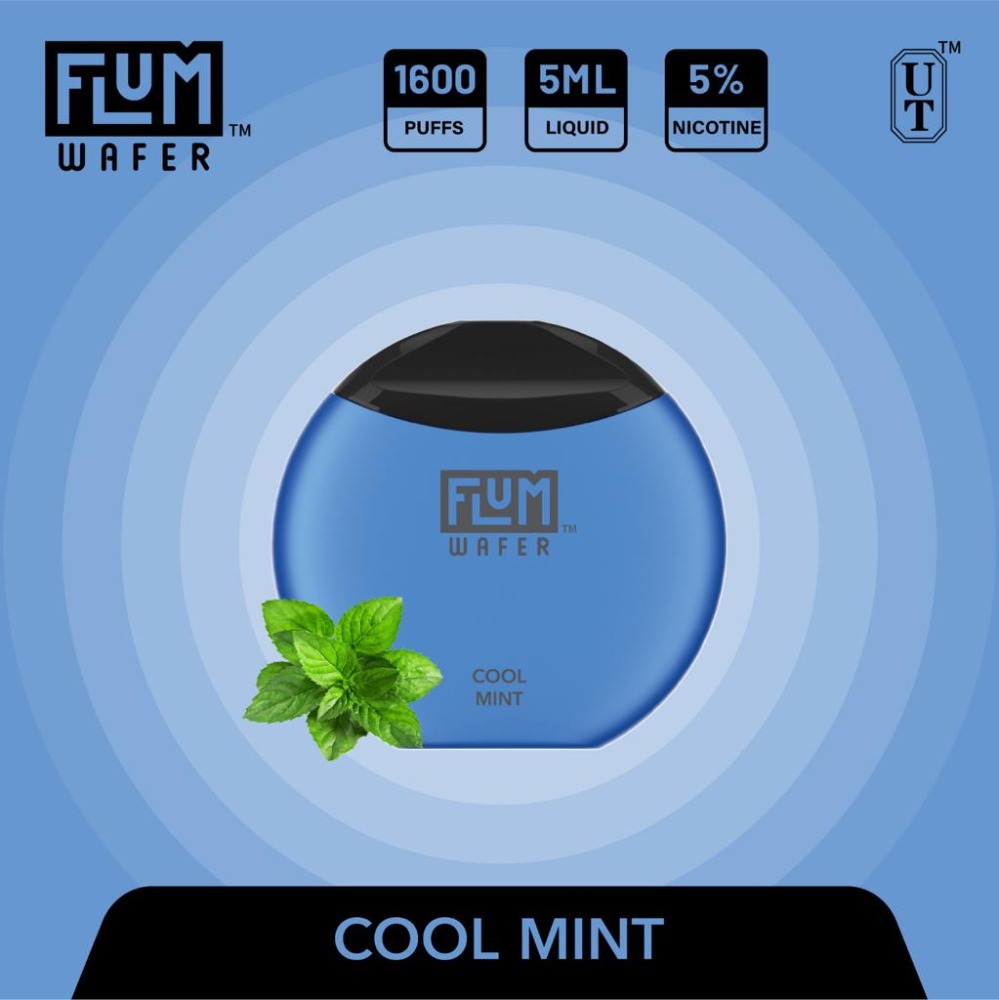 Flum Wafer Cool Mint – Disposable Vape Flavors